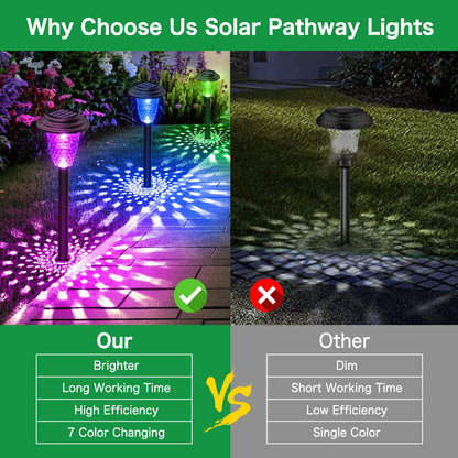 Rynx | Ensli 8 Pack Solar Light - Color Changing & Warm White, Water Resistant Garden Lights