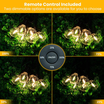 Rynx | Yuusei 25Ft Dimmable Led Outdoor String Lights With Remote & 12 Shatterproof Bulbs, Black