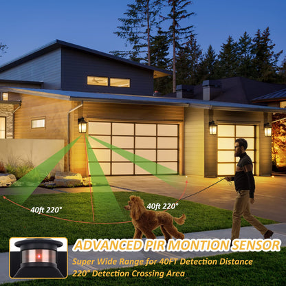Rynx | Filiyano Motion Sensor Outdoor Wall Lamp - Black LED Waterproof Veranda Light for Terrace, Garage