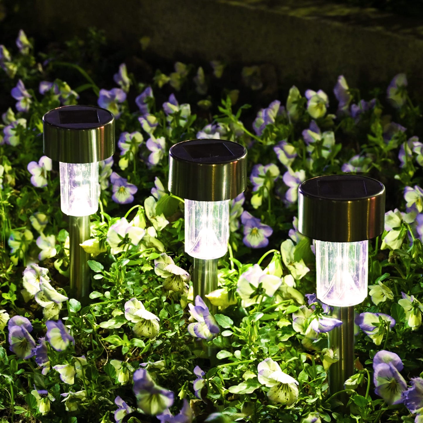 Rynx | Solpex 12 Pack Stainless Steel Solar Outdoor Lighting, Waterproof LED Path Lighting - Cool White