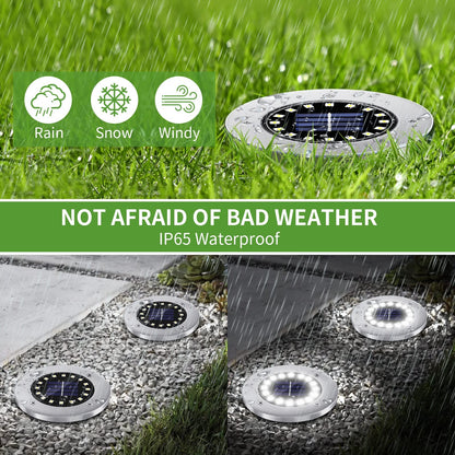 Rynx | Nfesolar 16 Led Solar Light - Waterproof Path Light for Pathway, Garden, Yard (White, 8 Pack)