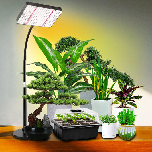 Rynx | Grocruiser Desk Plant Lighting for Seed Starting, Seedlings, Vegetables, Bonsai, 25 Watt Bright Full Spectrum Desk Plant Lights for Indoor Growth, Adjustable Height 16&quot;-24&quot;, Daisy Chain Function
