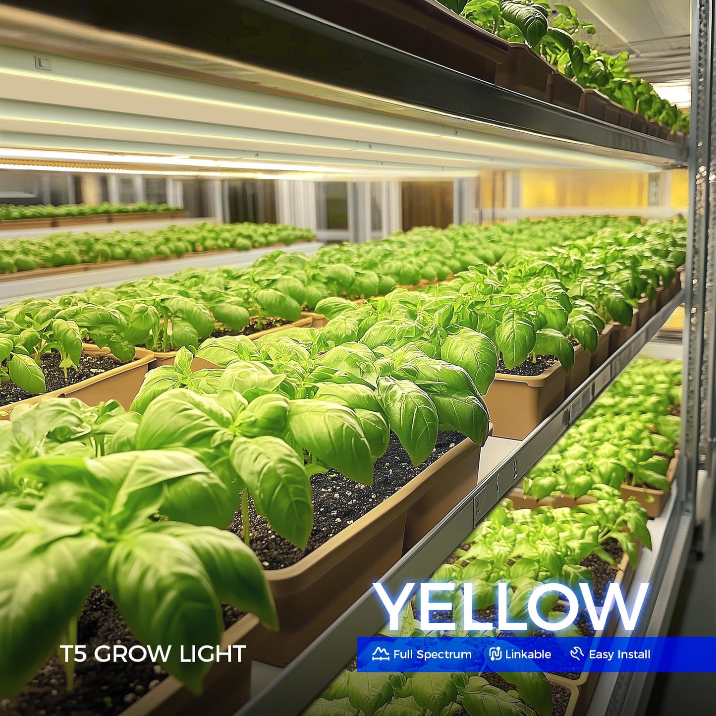 Rynx | Barrina T5 128W Full Spectrum Led Grow Lights For Indoor Plants, Yellow, 8-Pack, 3Ft