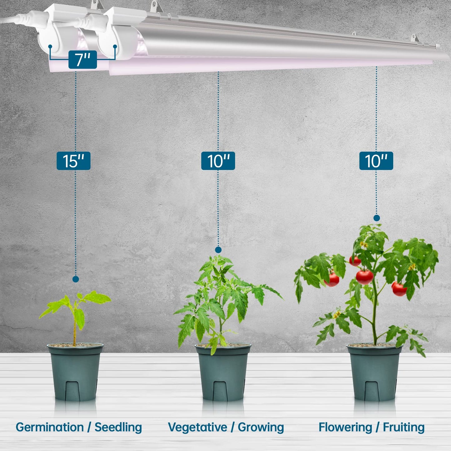 Rynx | Barrina 2Ft Full Spectrum Led Grow Light, 144W, V-shaped Reflector, 6-Pack For Indoor Plants