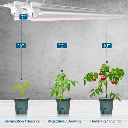 Rynx | Barrina 2Ft Full Spectrum Led Grow Light, 144W, V-shaped Reflector, 6-Pack For Indoor Plants