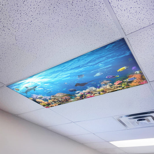 Rynx | Octo Lights Magnetic Fluorescent Light Cover 2X4 - Coral Reef, Enhance Focus & Reduce Eye Strain