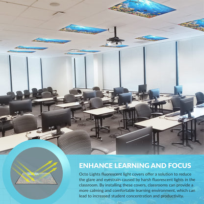Rynx | Octo Lights Magnetic Fluorescent Light Cover 2X4 - Coral Reef, Enhance Focus & Reduce Eye Strain