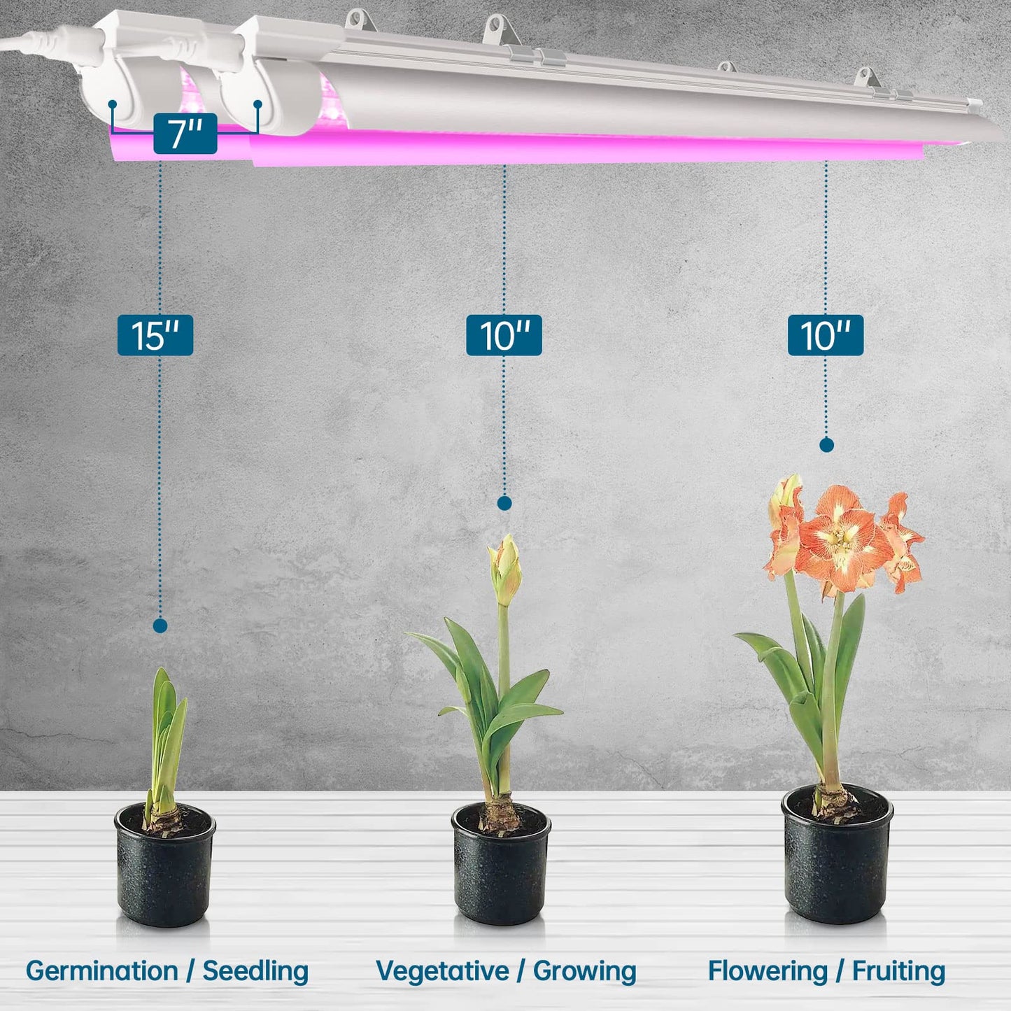 Rynx | Barrina 2Ft Led Grow Light For Indoor Plants, Full Spectrum V-Shape Reflector, 4-Pack