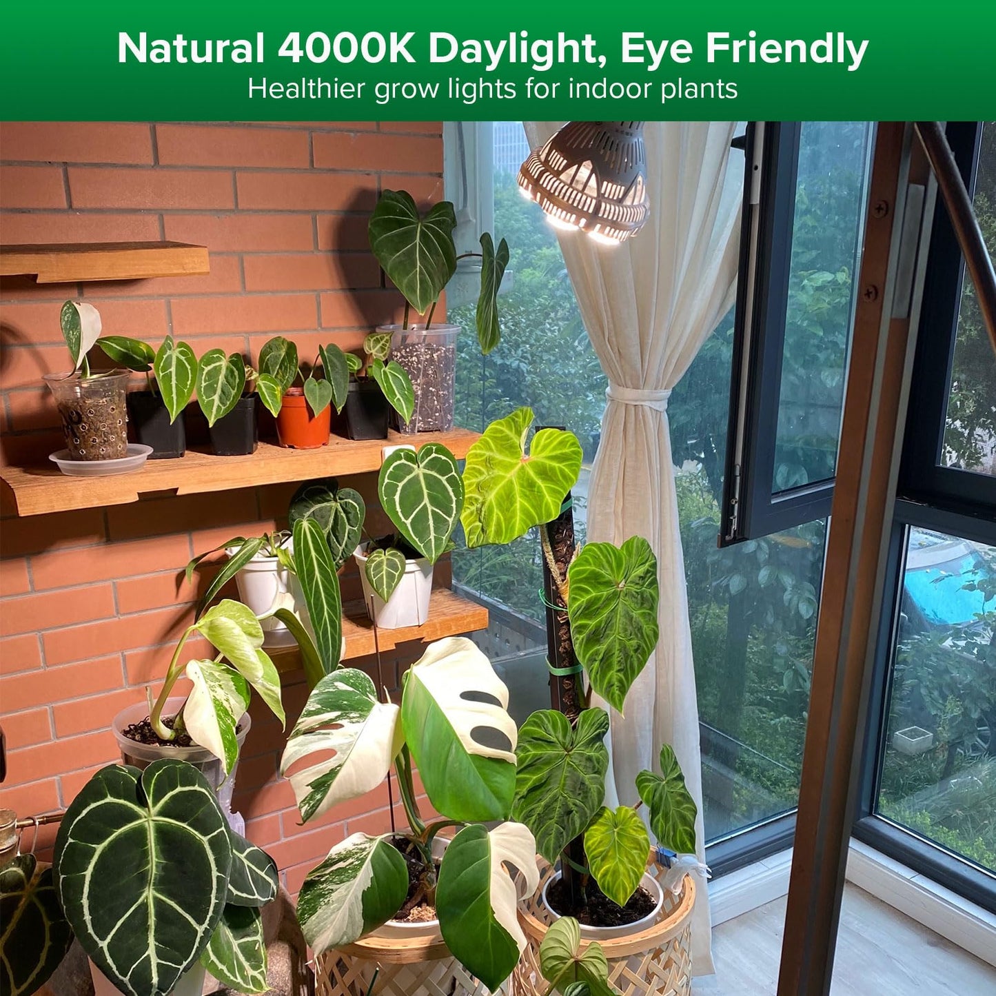 Rynx | Sansi 24W Growth Light Bulb, Full Spectrum, High Ppfd, Perfect For Indoor Plants And Flowers