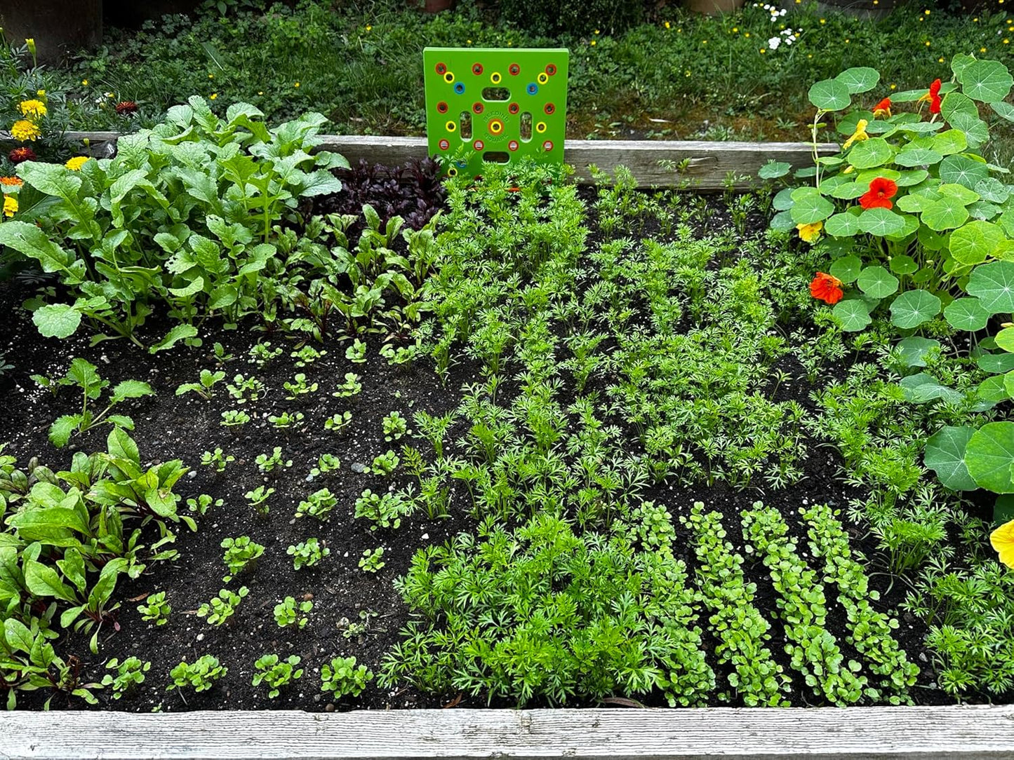 Rynx | Plantgrid Ultimate Garden Template - Seed 2 Splendor Guidebook