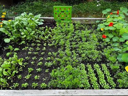Rynx | Plantgrid Ultimate Garden Template - Seed 2 Splendor Guidebook