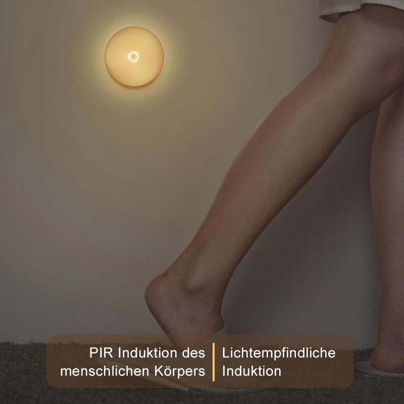 Rynx | Intelligent human induction LED night light