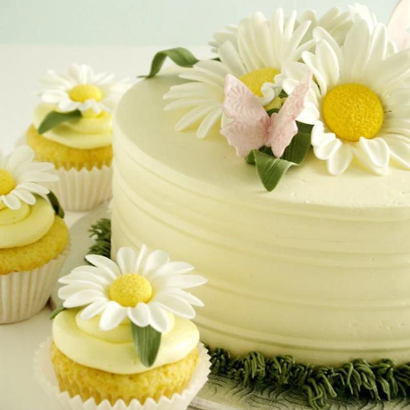 Rynx | 33 piece tools for decorating cakes