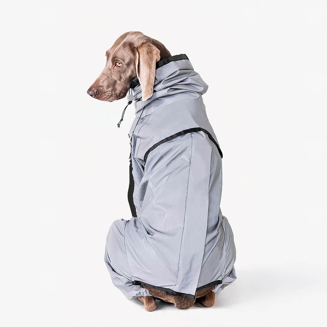 RYNX | Reflective All-Weather Waterproof Cool Dog Accessory Raincoat