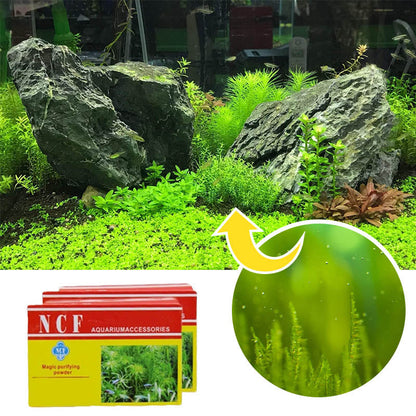 Rynx | Aquarium Cleaning Powder