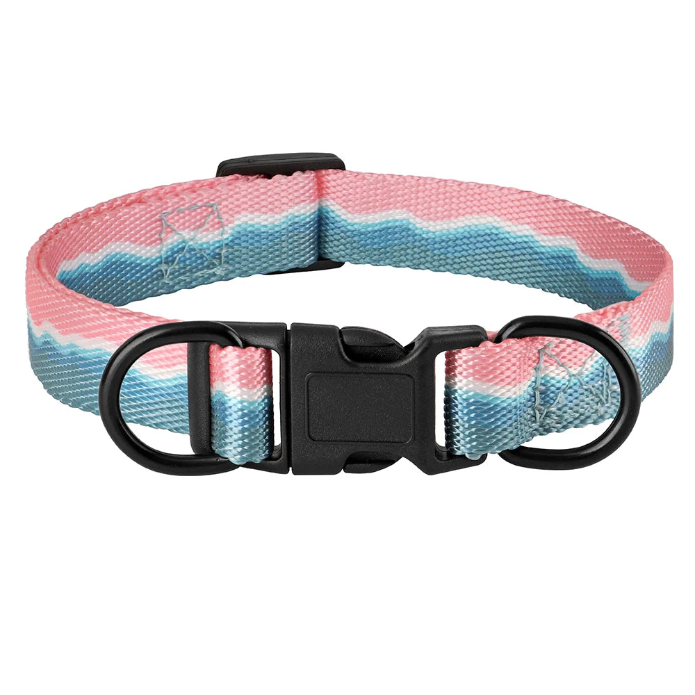 Rynx | Adjustable Nylon Dog Collar