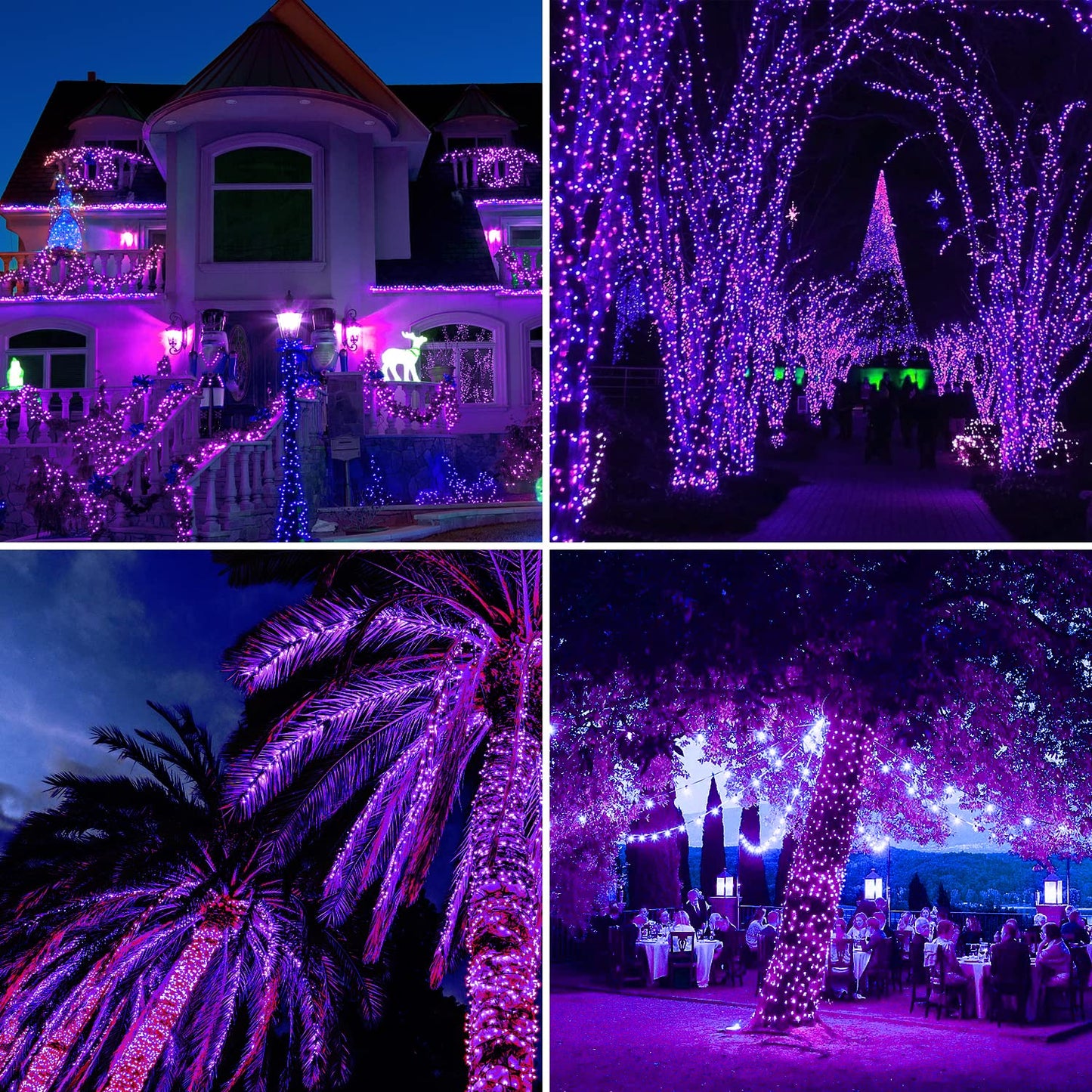 Rynx | Qitong 66Ft Purple Solar String Light, 200 LED, Waterproof, 8 Modes for Garden & Terrace Decor