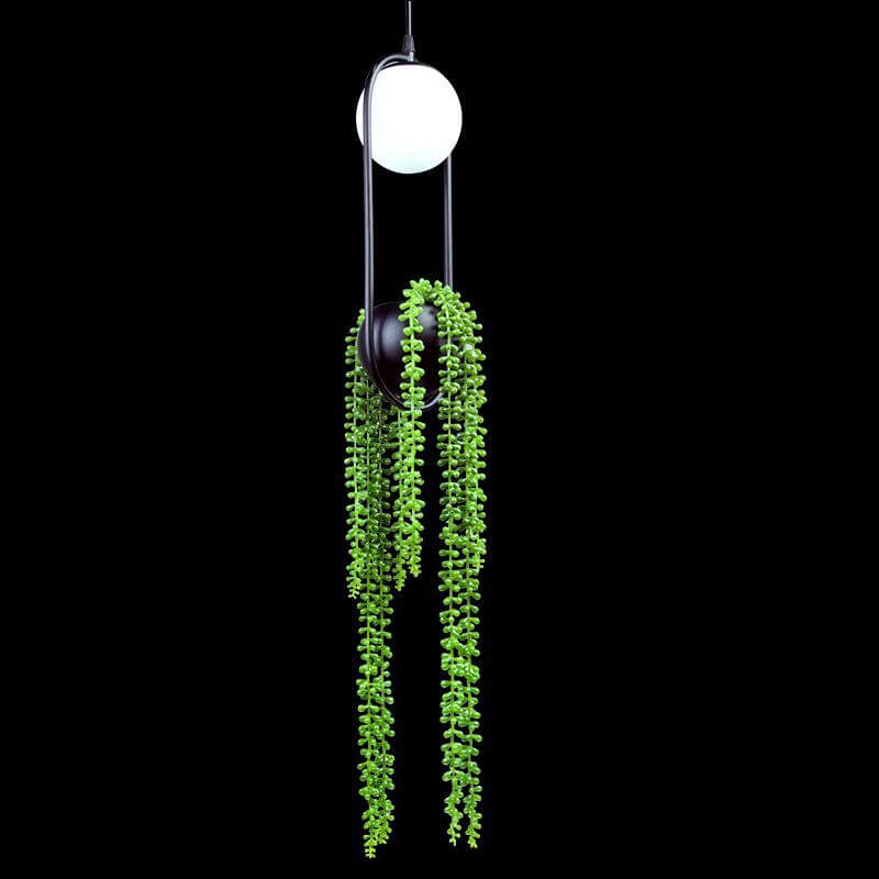 Rynx | EcoOrb Glass Pendant Light | Plant Holder Design | 1-Light Pendant Light | Warm White & White Light