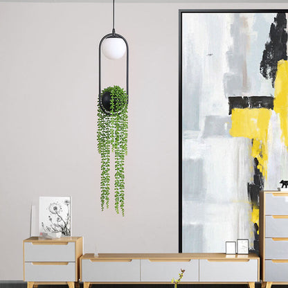 Rynx | EcoOrb Glass Pendant Light | Plant Holder Design | 1-Light Pendant Light | Warm White & White Light