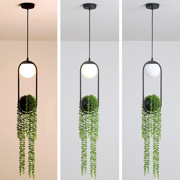 Rynx | EcoOrb Glass Pendant Light | Plant Holder Design | 1-Light Pendant Light | Warm White & White Light