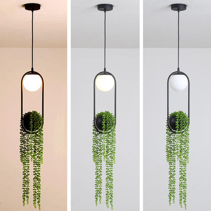 Rynx | EcoOrb Glass Pendant Light | Plant Holder Design | 1-Light Pendant Light | Warm White & White Light