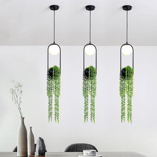Rynx | EcoOrb Glass Pendant Light | Plant Holder Design | 1-Light Pendant Light | Warm White & White Light
