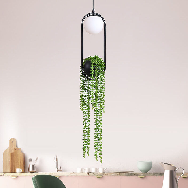 Rynx | EcoOrb Glass Pendant Light | Plant Holder Design | 1-Light Pendant Light | Warm White & White Light