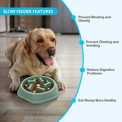 Rynx | Slow Feeder Dog Bowl