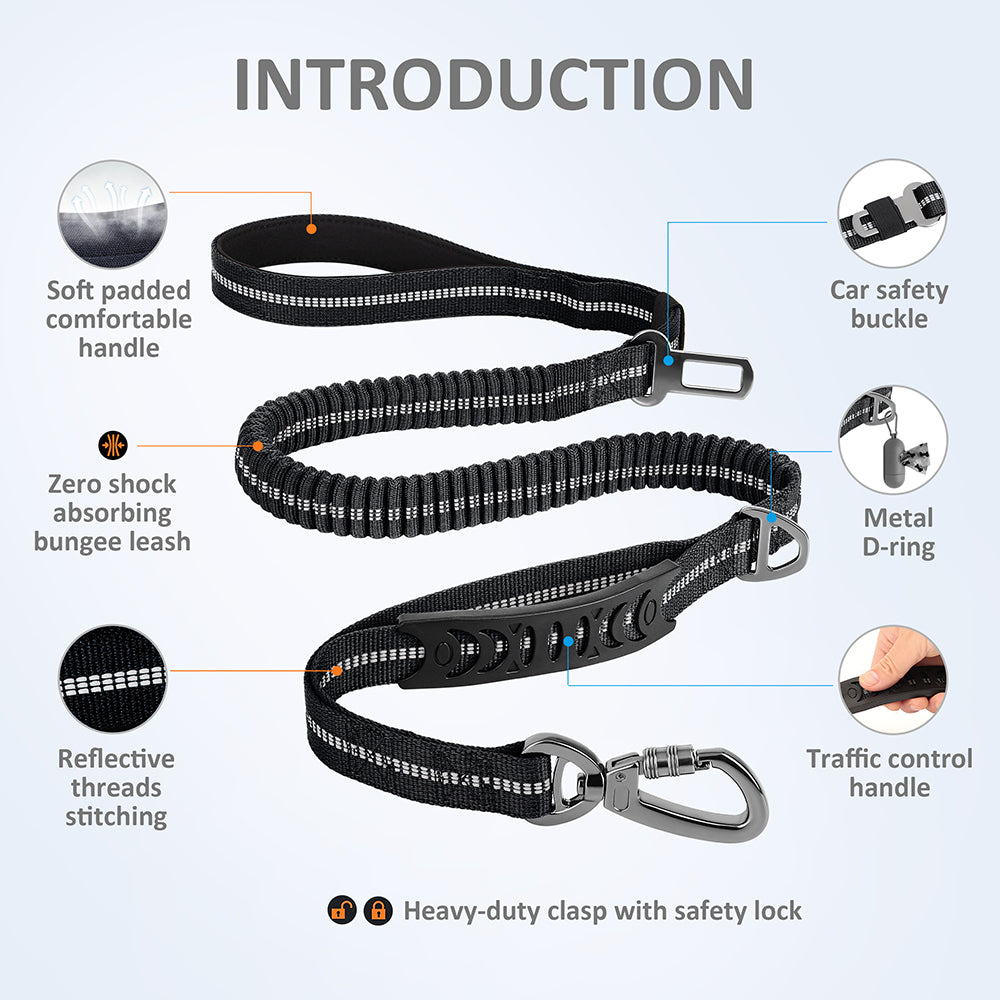 Rynx | High Quality Expandable Reflective Dog Leash