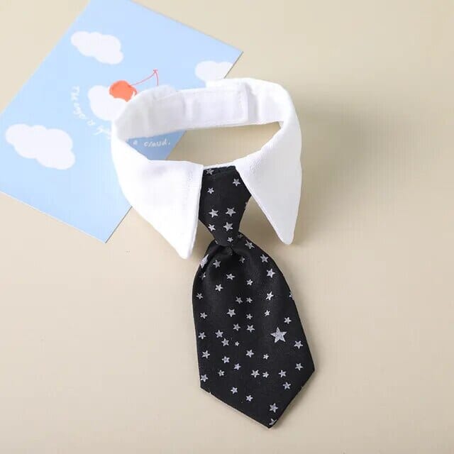 Rynx | formal collar