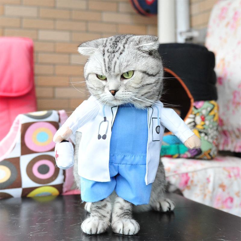 RYNX | Pet Costumes