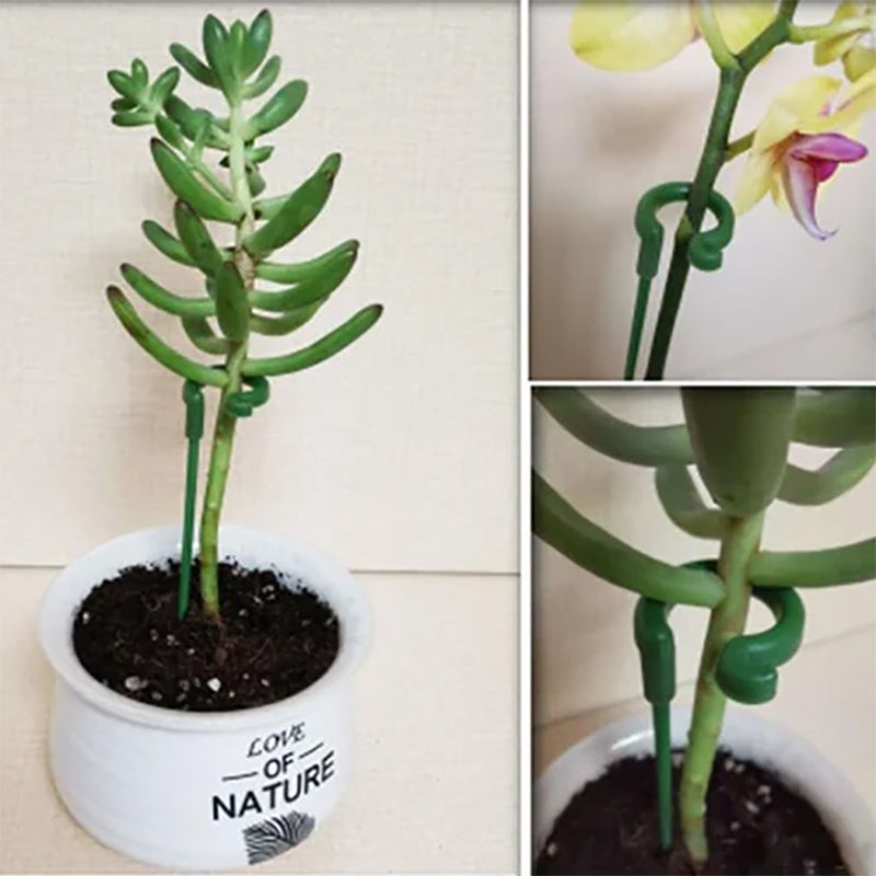 Rynx | Plant support stake trunk climbing solid support