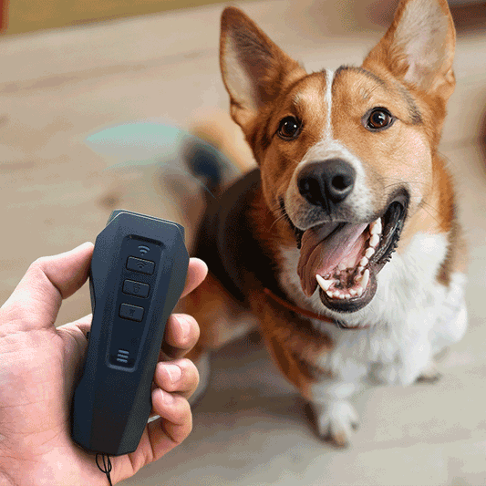 Rynx | Instant Calm Trainer – BarxBuddy Transform dog's behavior with one click