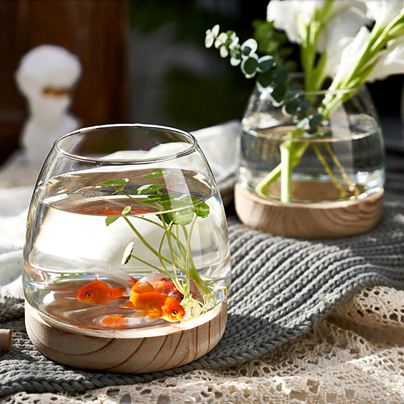Rynx | Elegant Glass Desktop Fish Tank