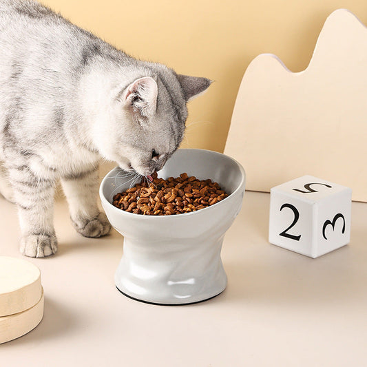 Rynx | Raised Ceramic Cat and Small Dog Bowl
