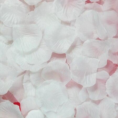 Rynx | Romantic Elegance Silk Rose Petals Collection: 1000 Luxurious Red Petals for Memorable Celebrations