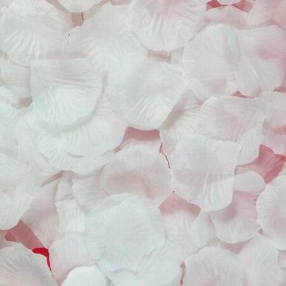 Rynx | Romantic Elegance Silk Rose Petals Collection: 1000 Luxurious Red Petals for Memorable Celebrations