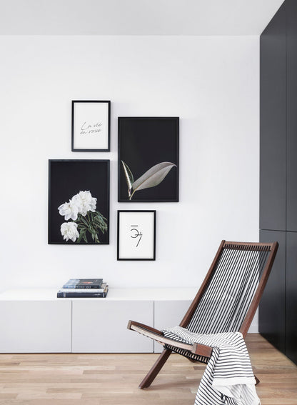Rynx | Leaf, Poster