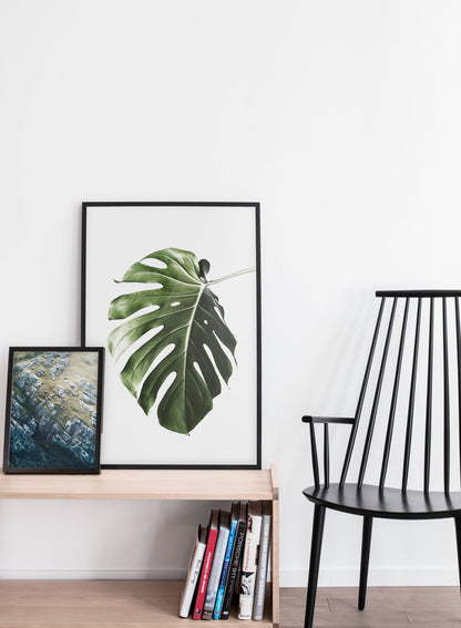 Rynx | Rocky, Poster