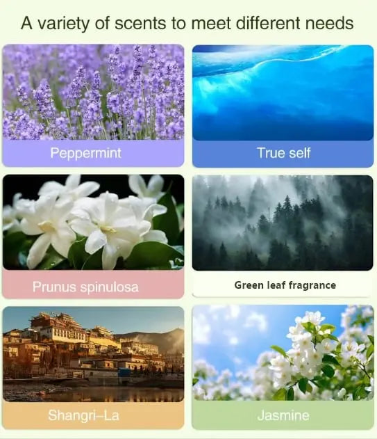 Rynx | Automatic Aromatherapy Diffuser – 5-level Timer with Highly Pure Essential Oil