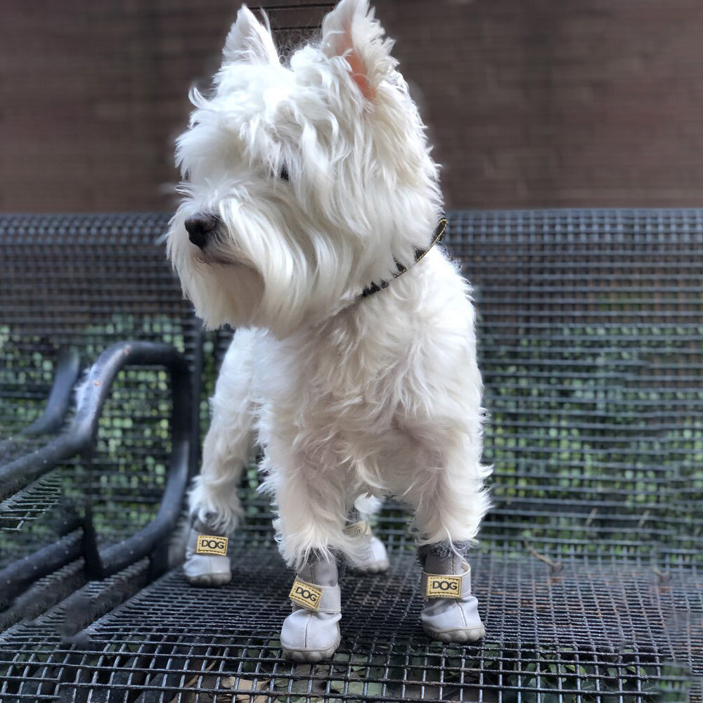 Rynx | Warm Dog Snow Boots - SnowPaws