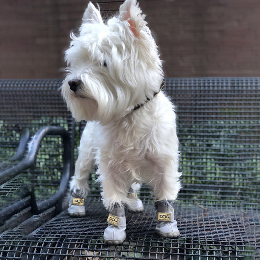 Rynx | Warm Dog Snow Boots - SnowPaws