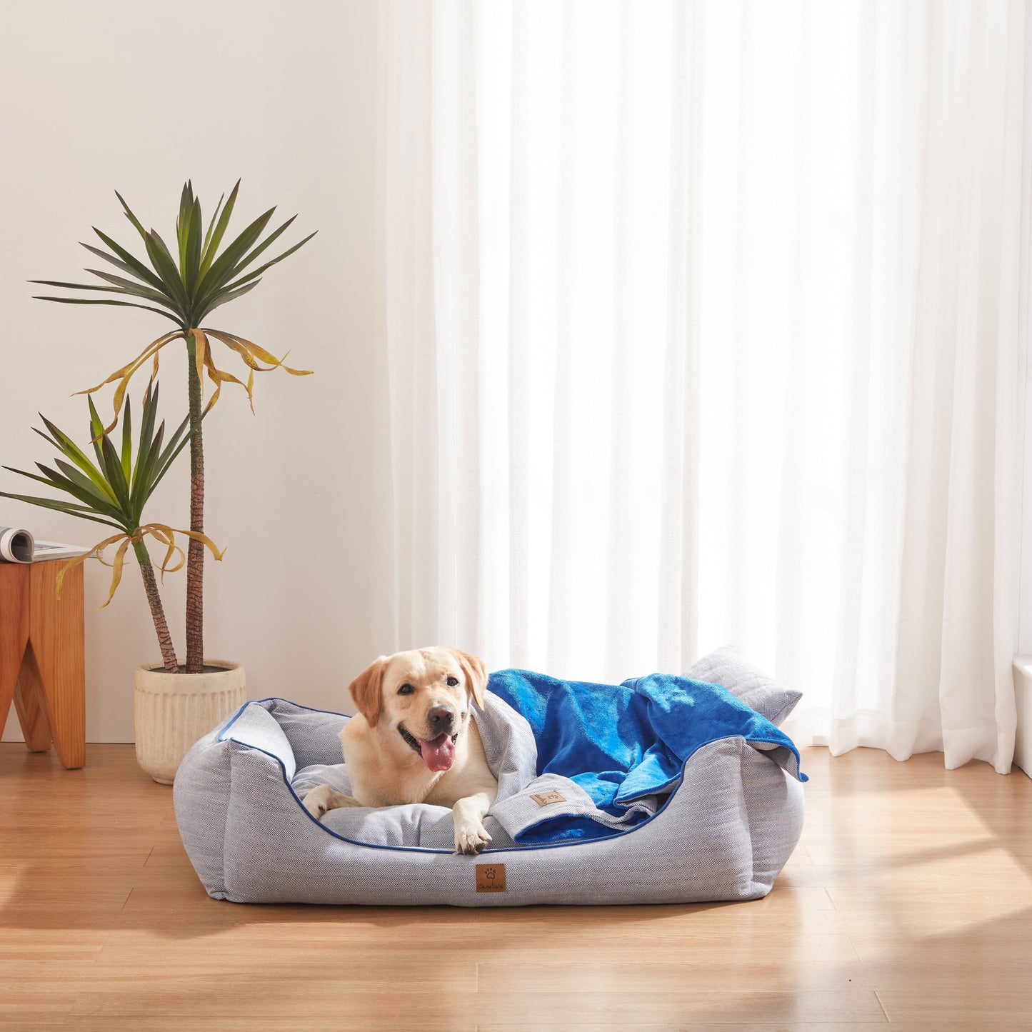 Rynx | Hampton Herringbone Bed, Cushions & Rug 3pc Set - Blue