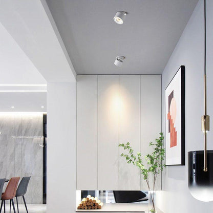 Rynx | Built-in Cylindrical Led Downlight