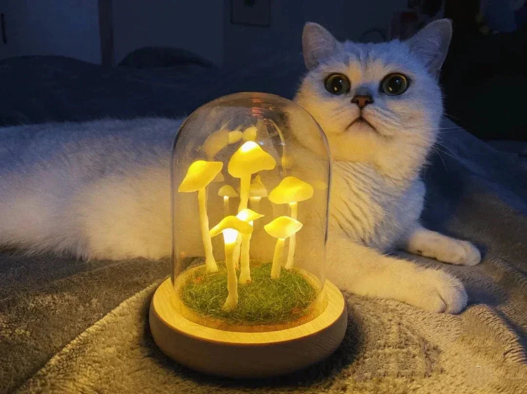 Rynx | - Create your own mushrooms - DIY natural glass - Awaken your creativity
