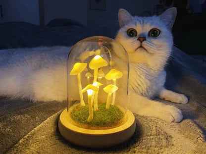 Rynx | - Create your own mushrooms - DIY natural glass - Awaken your creativity