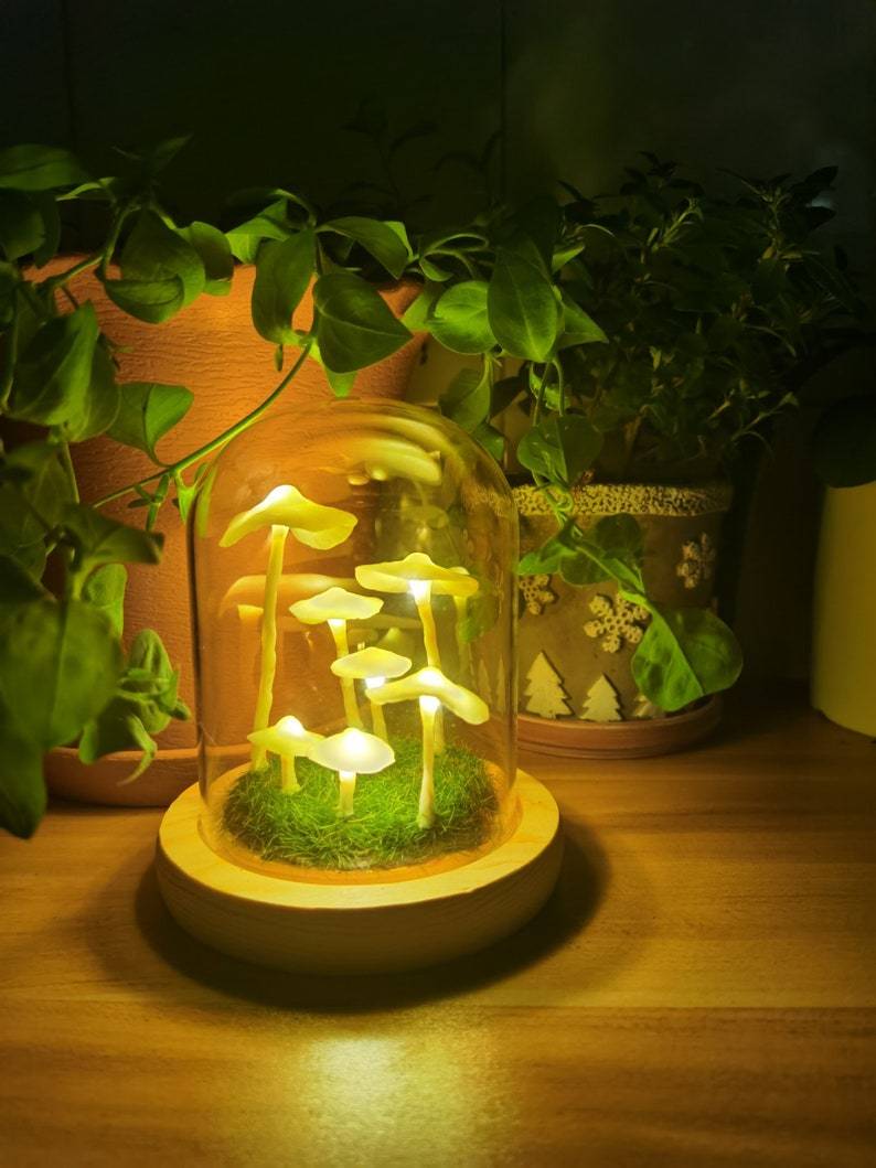 Rynx | - Create your own mushrooms - DIY natural glass - Awaken your creativity