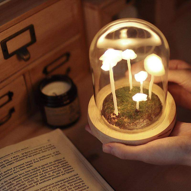 Rynx | - Create your own mushrooms - DIY natural glass - Awaken your creativity