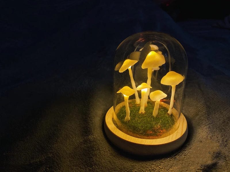 Rynx | - Create your own mushrooms - DIY natural glass - Awaken your creativity