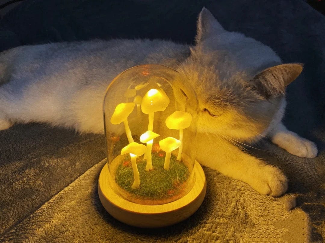 Rynx | - Create your own mushrooms - DIY natural glass - Awaken your creativity